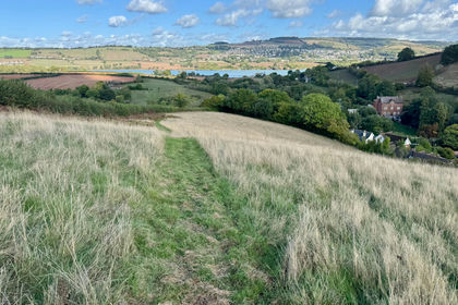 13.7 acres of Agricultural Land for sale in Newton Abbot