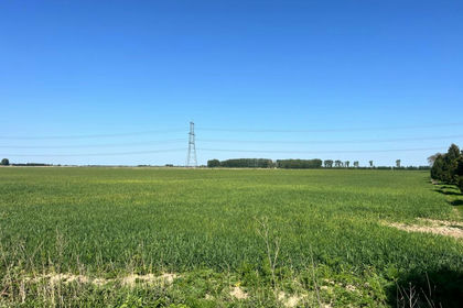 164.1 acres of Farmland for sale in Marshland St. James