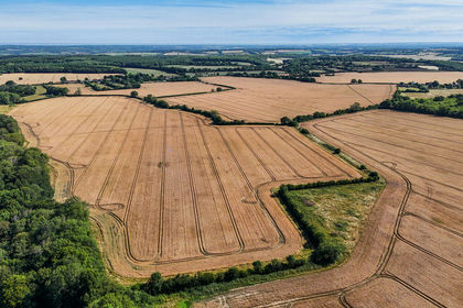 293.9 acres of Farmland for sale in Crundale