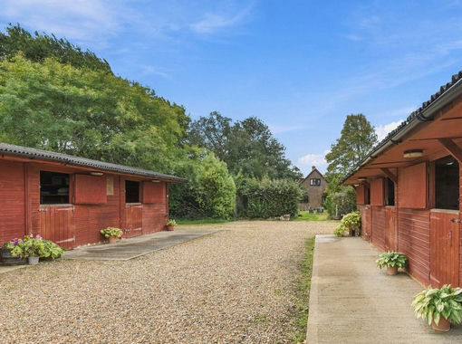 3 acres of Equestrian property for sale in Chichester