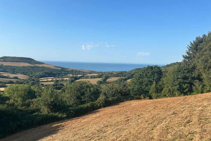 1.8 acres of Cheap Land for auction in Whitchurch Canonicorum