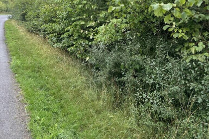 Recreational Land for sale in Allexton