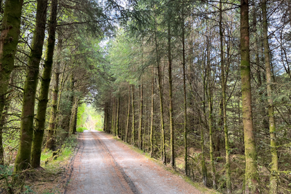 33 acres of Woodland for sale in Lledrod