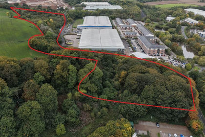 16.3 acres of Woodland for auction in Annesley
