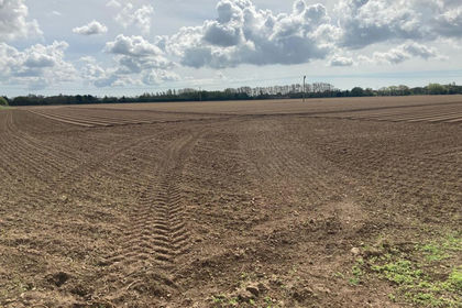 60.6 acres of Arable Land for sale in Ardleigh