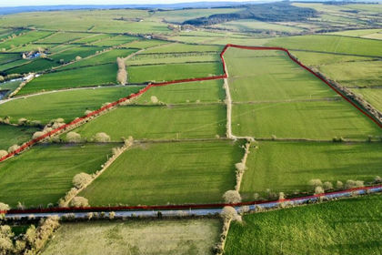 42.7 acres of Agricultural Land for sale in Llandysiliogogo