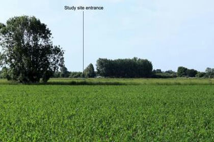 4 acres of Undeveloped Land for sale in Outwell
