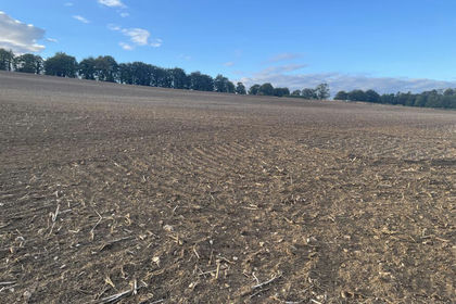 11.1 acres of For sale in Owslebury
