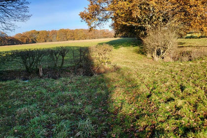 3 acres of Land for sale in Horne