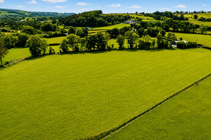 4 acres of Pasture for sale in Llanllwni