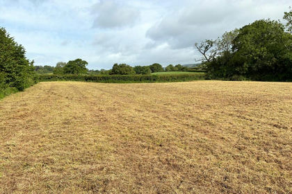 Grazing Land for sale in Wookey