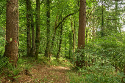 4.2 acres of Recreational Land for sale in Washfield