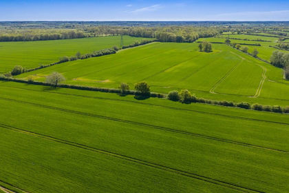 395.1 acres of Farmland for sale in Little Sampford