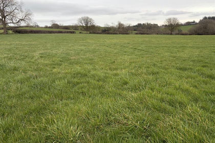 31.3 acres of Undeveloped Land for sale in Gwyddelwern