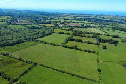 7.8 acres of Farmland for sale in Nantcwnlle