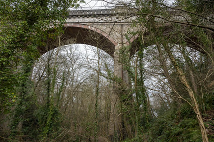 5.3 acres of Woodland for sale in
