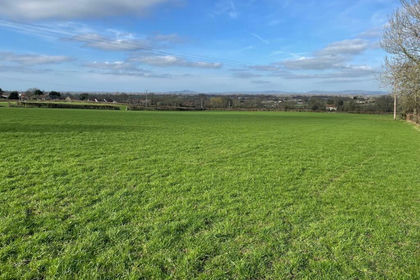 9.1 acres of Agricultural Land for sale in Edington