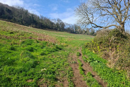 10.8 acres of Pasture for sale in Ilfracombe