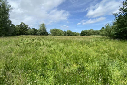 4.5 acres of Amenity Land for sale in Barton Turf
