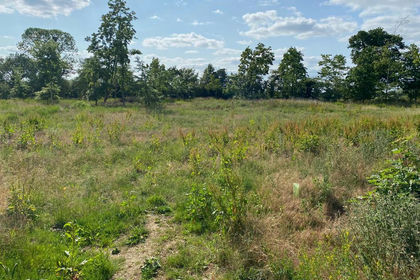 2.4 acres of Agricultural Land for sale in Shilton