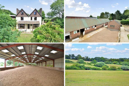 33.8 acres of Agricultural Land for sale in Ewhurst