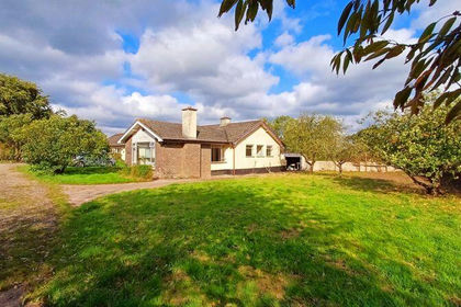 36 acres of Agricultural Land for sale in Denbury and Torbryan