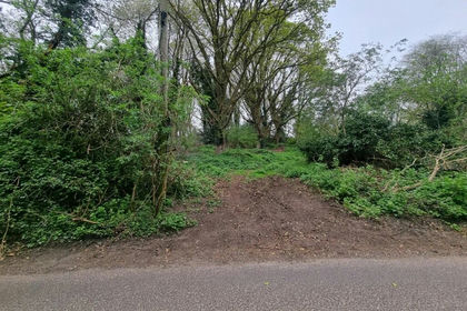 2.5 acres of Woodland for sale in Holbrook