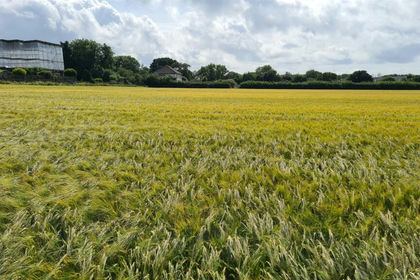 Land for sale in Fremington