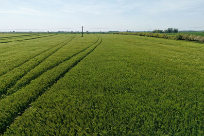 39.1 acres of Arable Land for sale in Louth