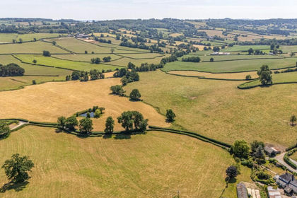 36.9 acres of Agricultural Land for sale in Upottery