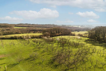 3 acres of Land for sale in Warbleton