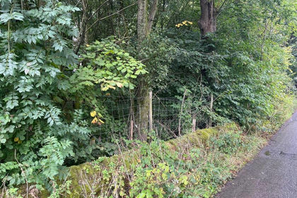 Woodland for sale in Chapel-en-le-Frith
