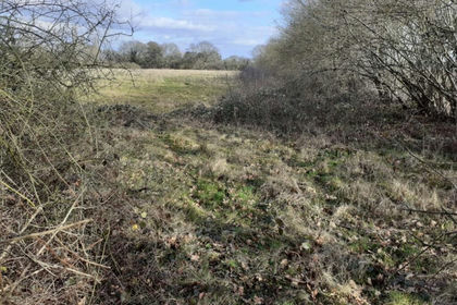 Undeveloped Land for sale in Crowhurst