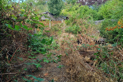 Amenity Land for sale in Burgh