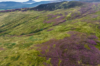 1317 acres of Agricultural Land for sale in North Ayrshire and Arran