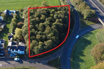 Woodland for auction in North Muskham