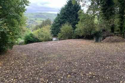 Development Land for sale in Newtown and Llanllwchaiarn