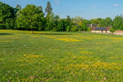 3.2 acres of Equestrian property for sale in Corfe