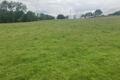 23.9 acres of Agricultural Land for sale in Llanafanfawr