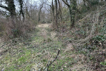 11.2 acres of Recreational Land for sale in Selattyn and Gobowen