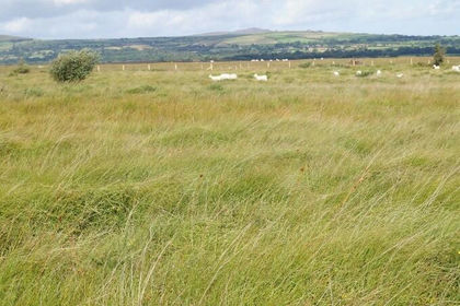 7.8 acres of Grazing Land for sale in Eglwyswrw