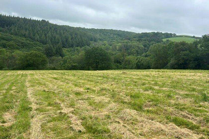 10.4 acres of Grazing Land for sale in Ilsington