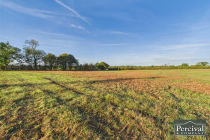 10 acres of For sale in Belchamp Otten
