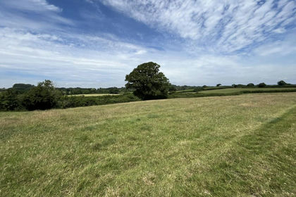 22.7 acres of Agricultural Land for sale in Buckland Newton