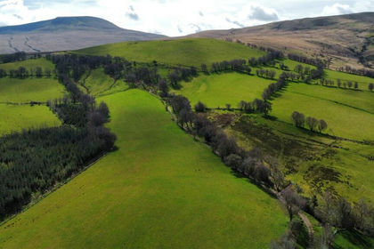 99 acres of Vacant Land for sale in Cray