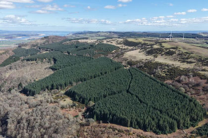 218.8 acres of Timberland for sale in Perth and Kinross-shire