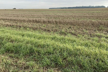 72 acres of Agricultural Land for sale in Wimblington