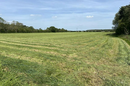 Land for sale in Horsington