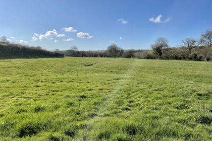 5.5 acres of Undeveloped Land for sale in