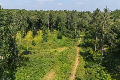 14 acres of Woodland for sale in Ellesmere Rural
